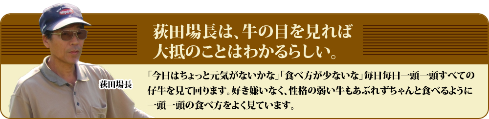 荻田場長は、牛の目を見れば大抵のことは分かるらしい。