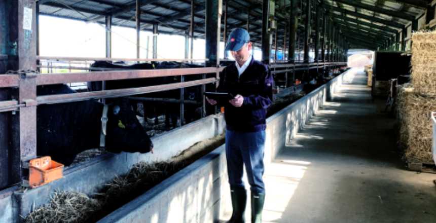 1. 直営牧場や契約牧場から