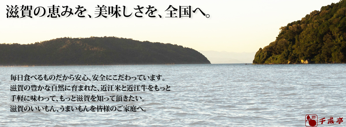 カルーセル画像2