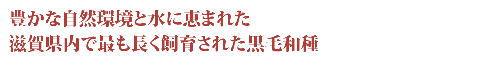 豊かな自然環境と水に恵まれた滋賀県内で最も長く飼育された黒毛和種