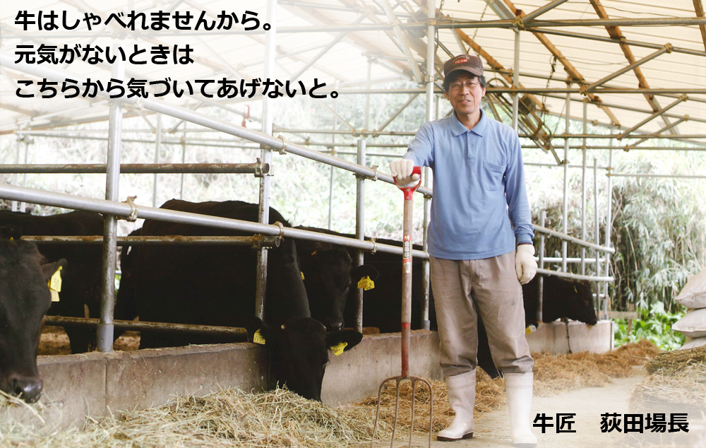 荻田場長は、牛の目を見れば大抵のことは分かるらしい。
