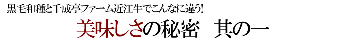 千成亭　近江牛の美味しさの秘密　其の一