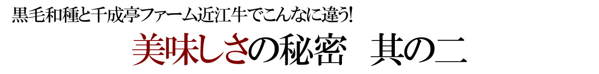 千成亭　近江牛の美味しさの秘密　其の二