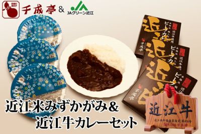 近江米みずかがみ＆近江牛肉使用本格派職人仕立てのビーフカレー3個セット（箱なし） | 近江牛の千成亭