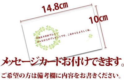 国産ローストチキンレッグ　１本