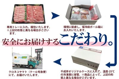 【送料込み】近江牛もつ鍋セット　2～3人前