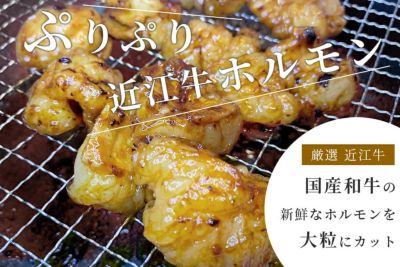 【送料込み】近江牛 旨とろホルモン（小腸）味噌ダレ 600g（200g×3P）冷凍